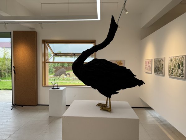 盒马配资 菜园里也能开美术馆？宝山这两个美术展共同呈现乡村自然美学